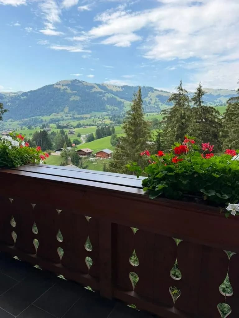 Valley view from the chalet