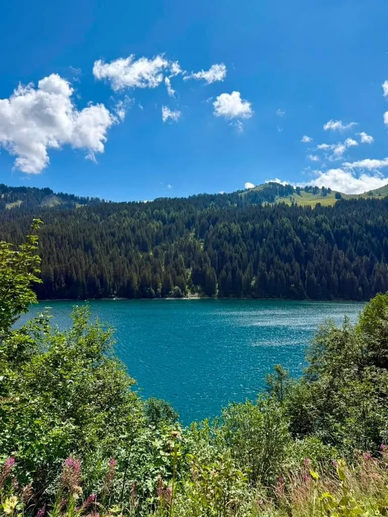 Mountain lake in summer