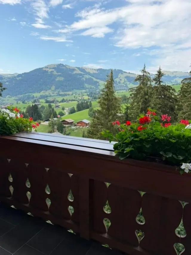 Valley view from the chalet